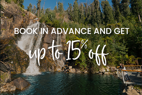 Up to 15% Off Book Early & Save